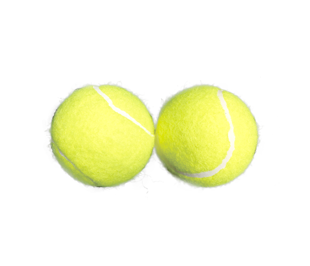 NSX-045 硬式テニスボール | リンエイ株式会社商品発注サイト